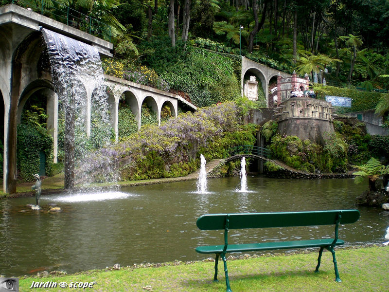 Au jardin Tropical de Funchal à Madère