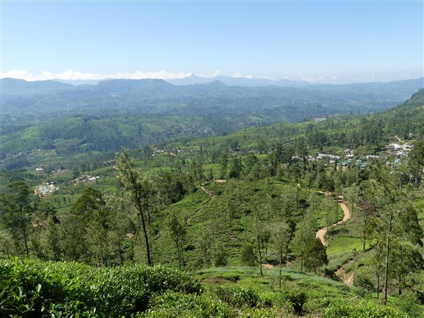 P1270282