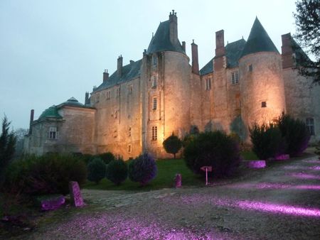 Visite Chateau de Meung sur Loire (112)