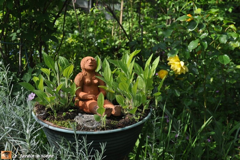 0005-Baigneuse
