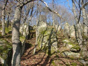montbrison_023
