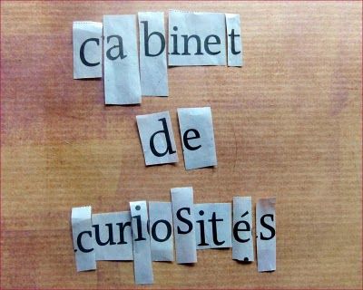 cr_C3_A9a_cabinet_de_curiosit_C3_A9s