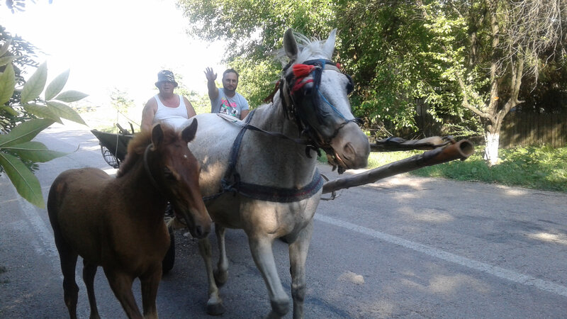 1-12 Tziganes sur la route de Bucarest
