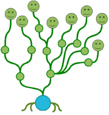 hydre3