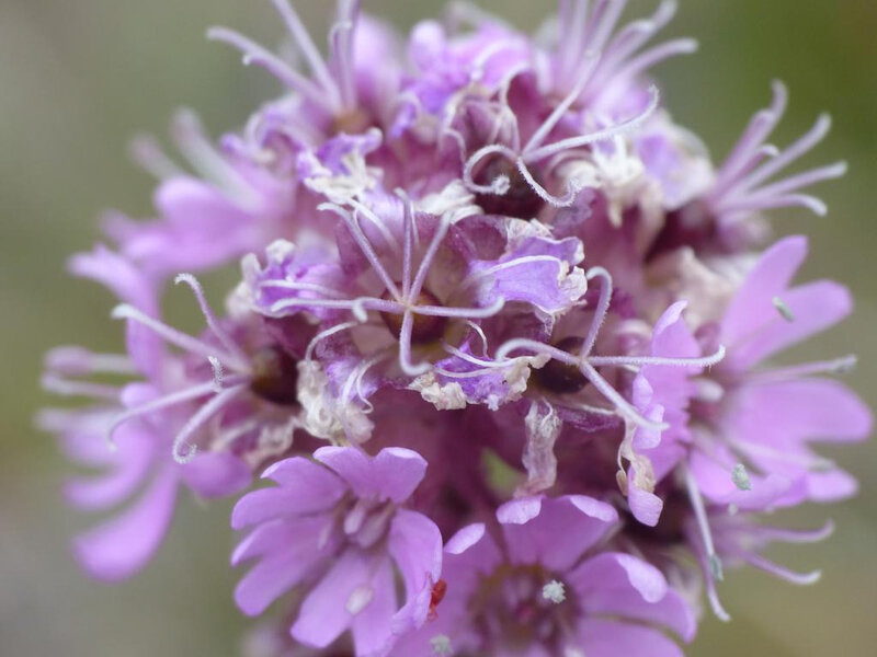 P1250724