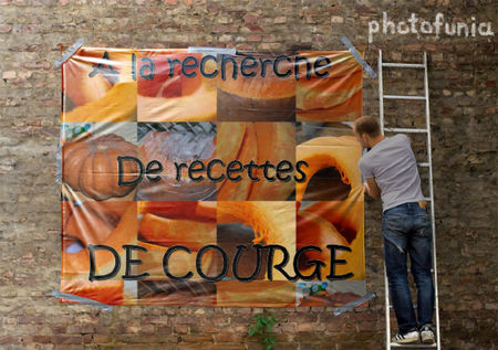 affichage___la_recherche_de_recettes
