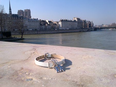 Paris-20130219-00134[1]