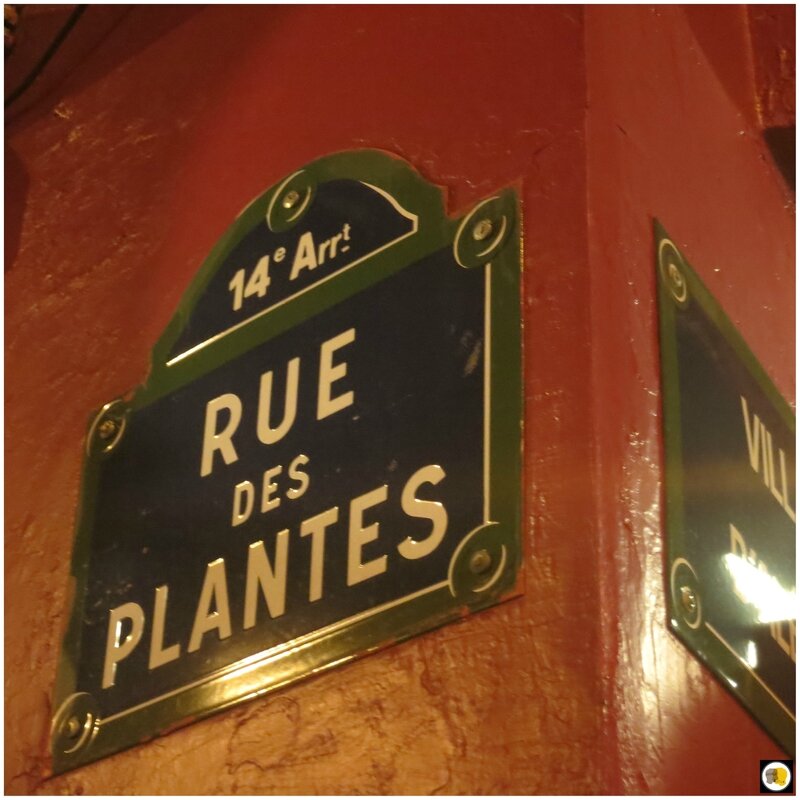 39 rue des Plantes