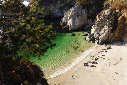 14218165487_ef6ef64992