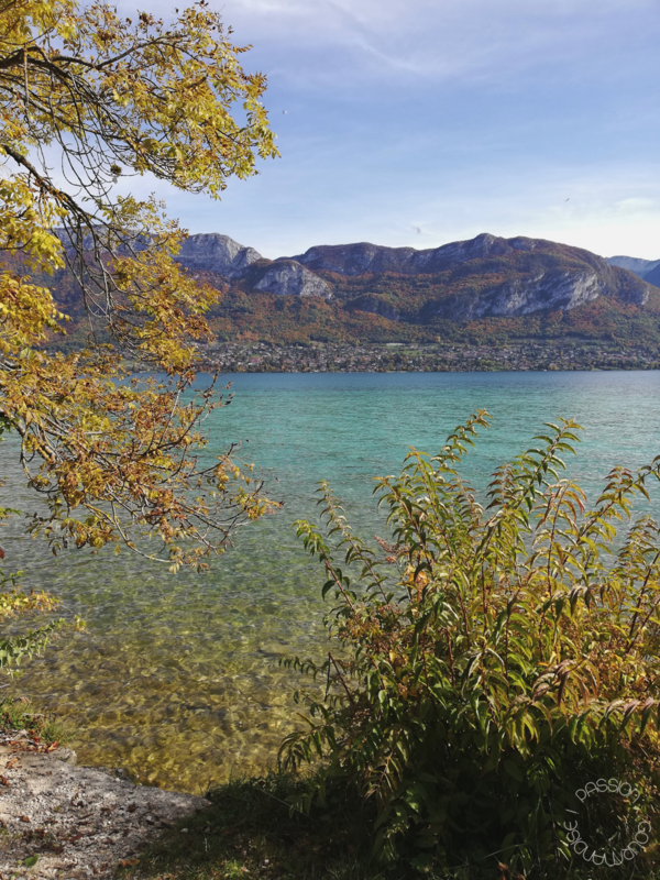 Annecy 2020_28
