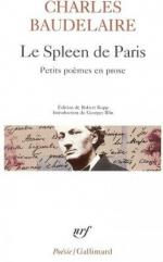 le-spleen-de-paris---petits-poemes-en-prose-13130-250-400