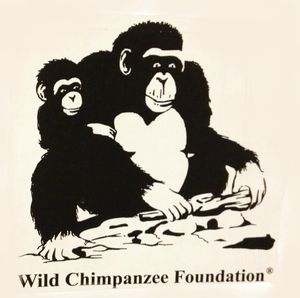 chimpanzes-fondation