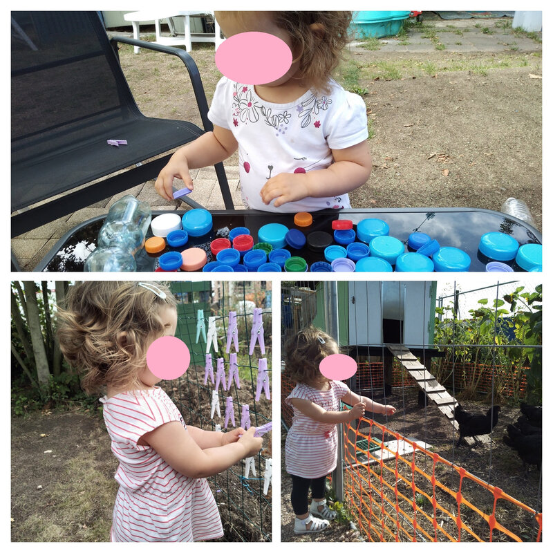 IMG_20200817_103244748-COLLAGE