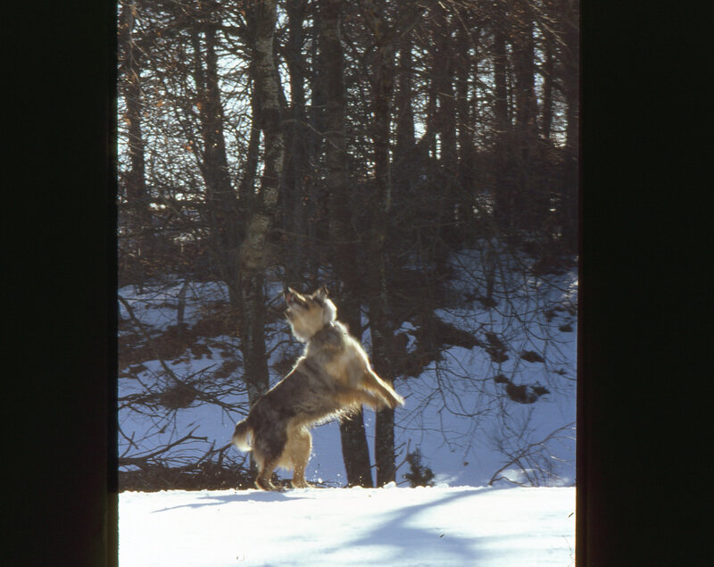 Les Barthes, Nours, lancer de baton (2)