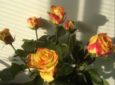 Bouquet_de_roses_jaunes