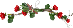 Gif barre composition branche de roses rouges haut 320 pixels