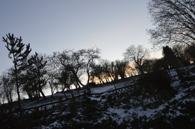 _DSC0044