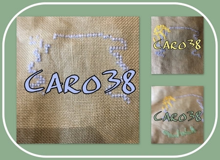 caro38_saljul20_col1