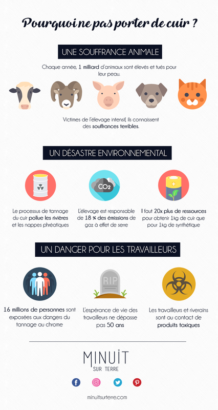 infographie-cuir-1