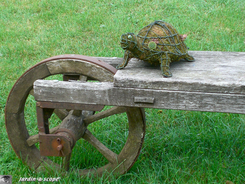 La Tortue Arlette à Valmer (37)