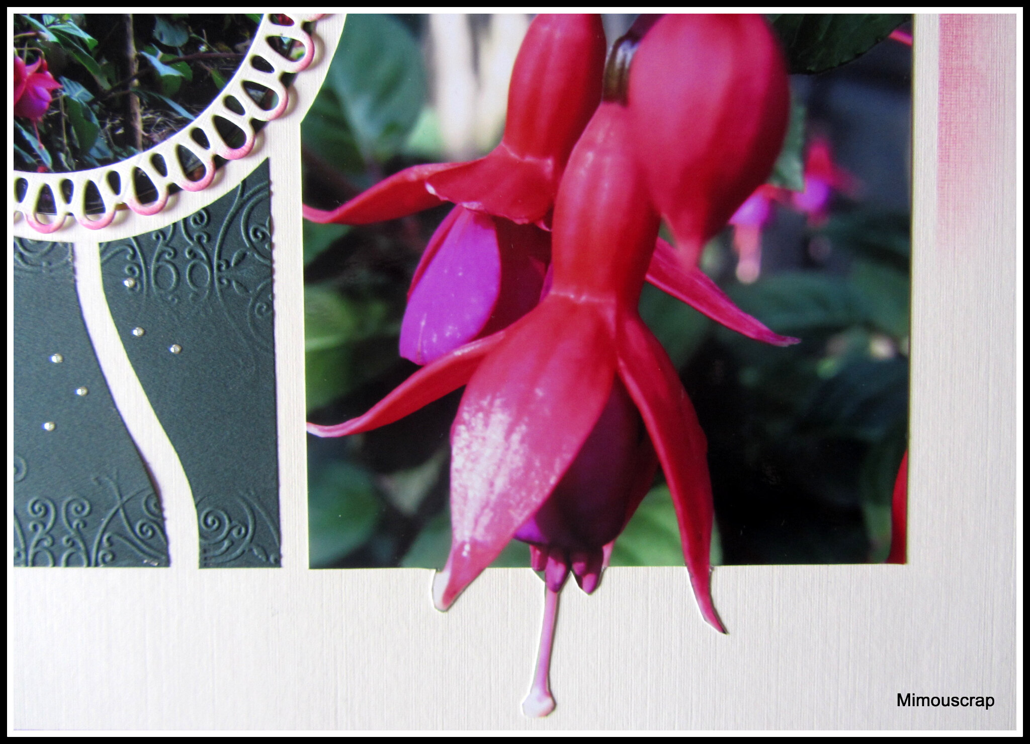 Jardin 2016 089