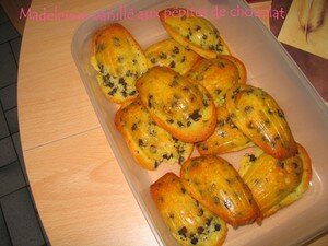 14_Madeleines_vanill_s_p_pite_chocolat