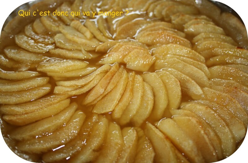 tarte aux pommes râtée (3) - Copie