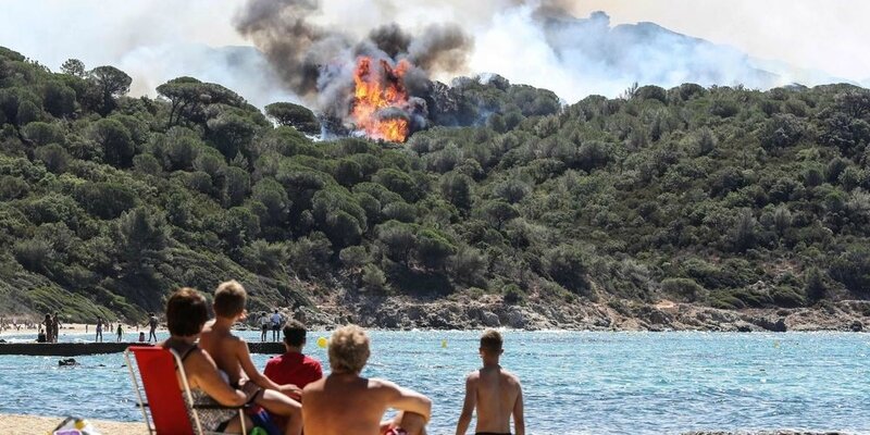 corse