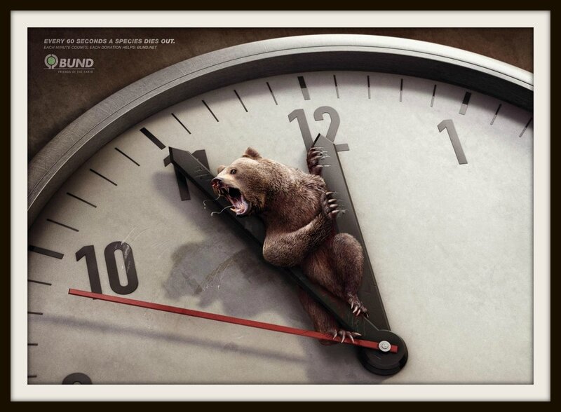 horloge-grizzli