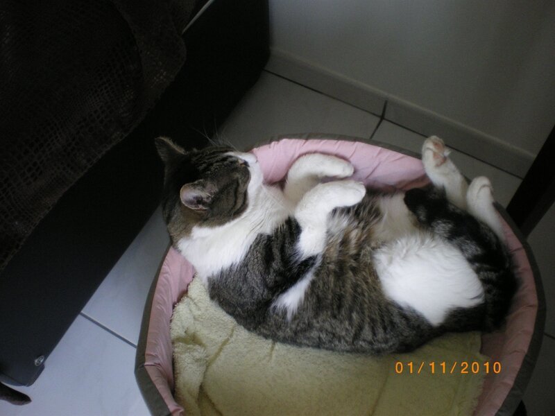 IMGP0736