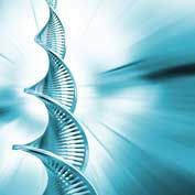 DNA