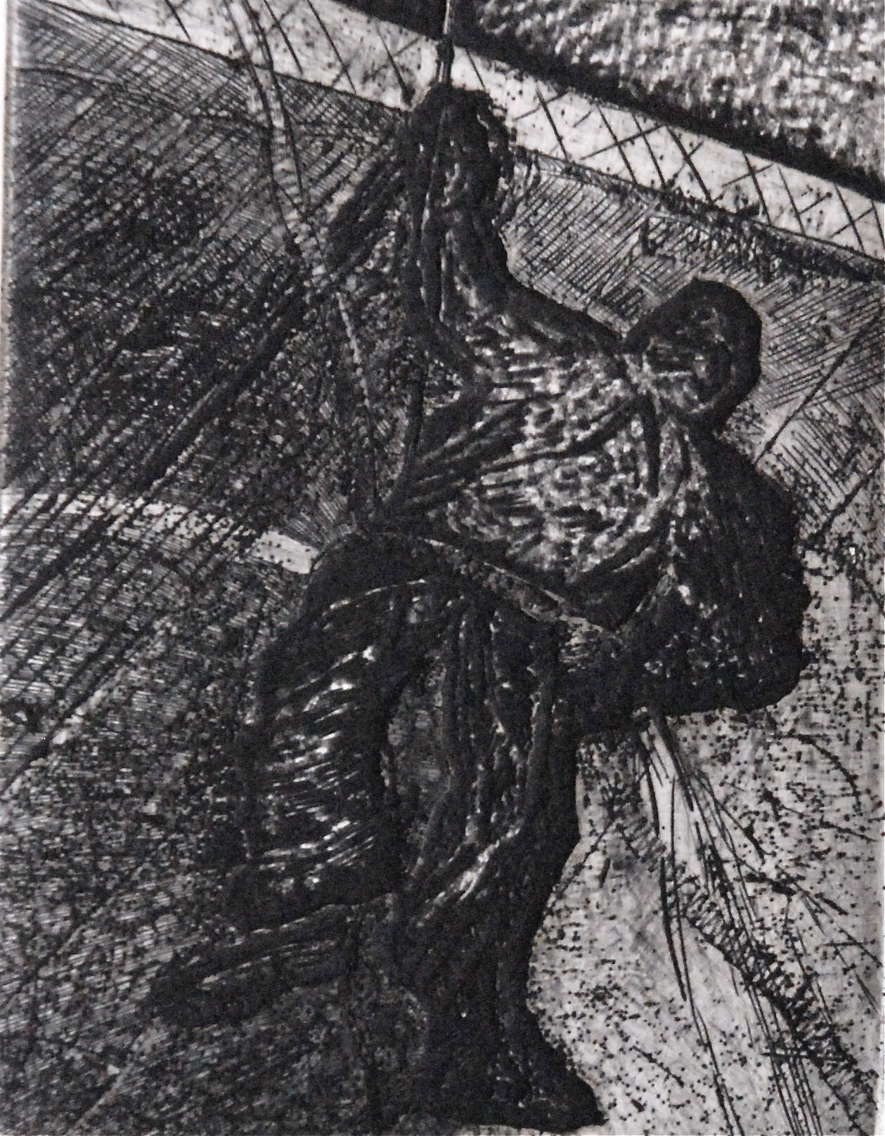 BG1_0162