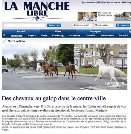 manche_libre_chevaux