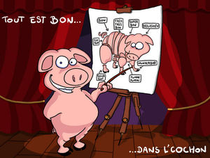 cochon