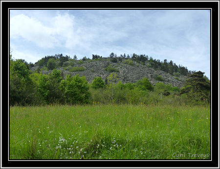 2010_06_01_La_Tortue__1327_m_tres____Boussoulet