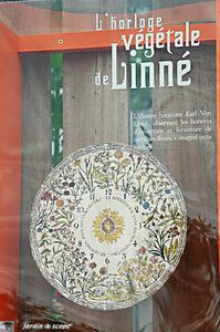 Horloge végétale de Linné