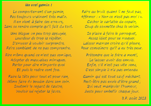 Un vrai gamin m41