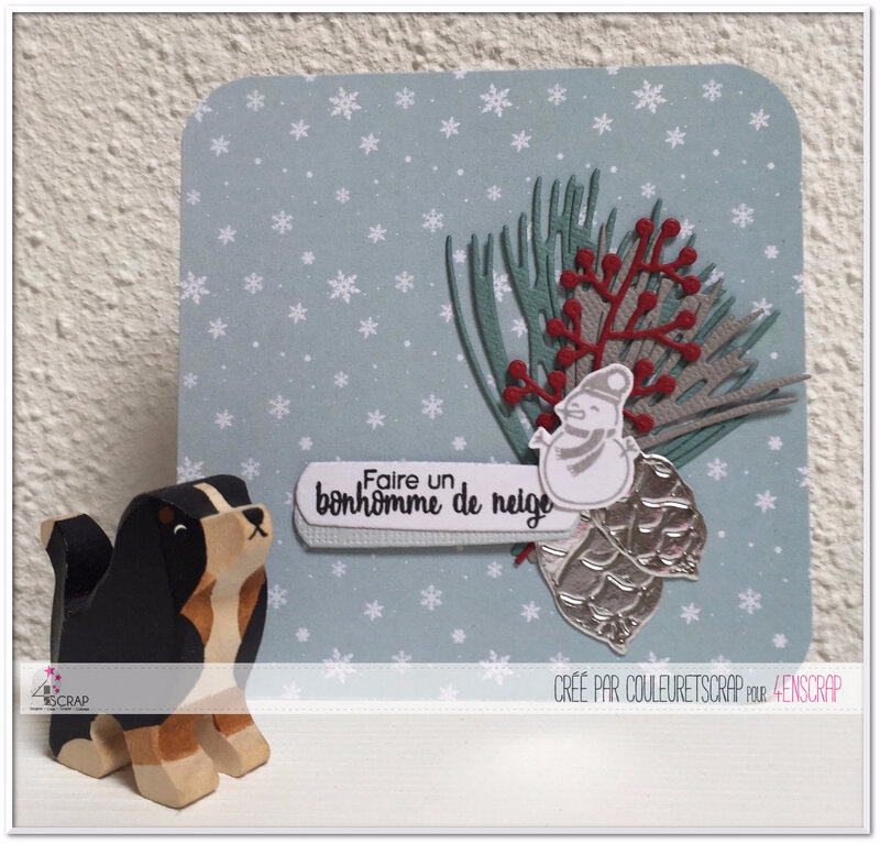 Couleuretscrap_pour_4ensrap_J3_carte_PL_neige