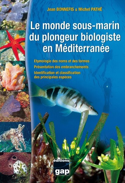 9782741704096r-monde-sous-marin-plongeur-biologiste-mediterranee-33