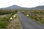 connemara-10