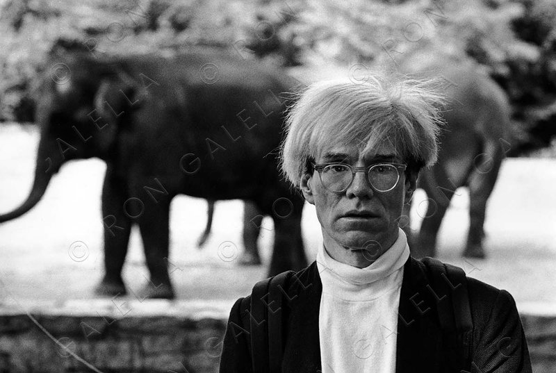 19830612_Andy-Warhol-elephant