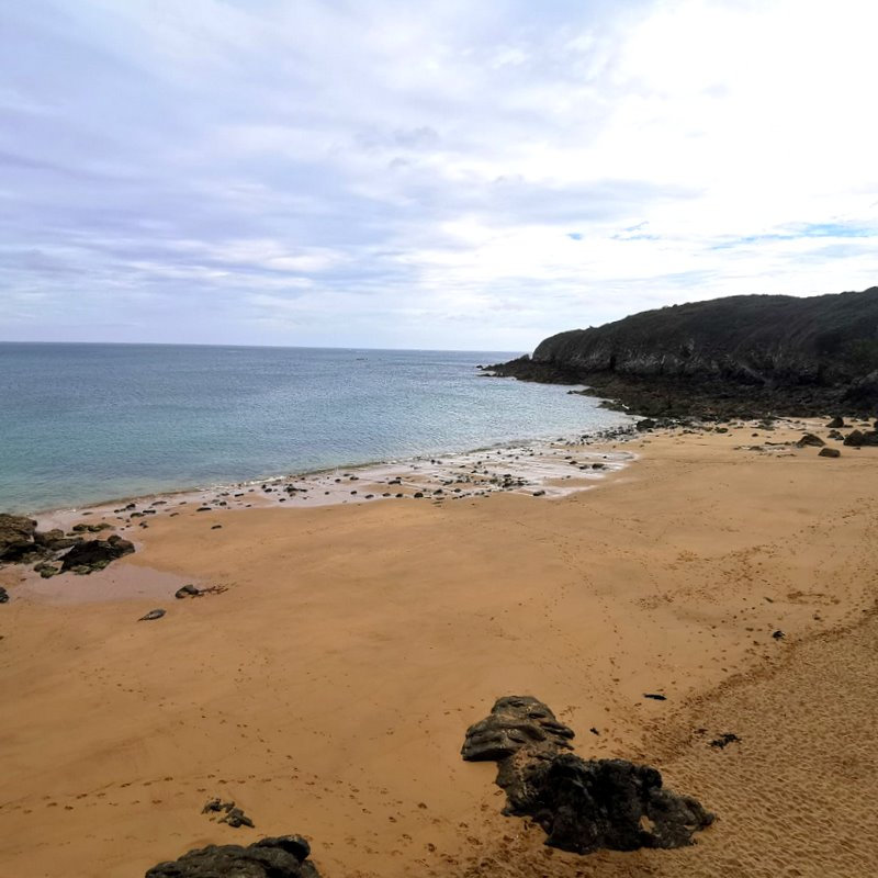 IMG-20230814-WA0034-1