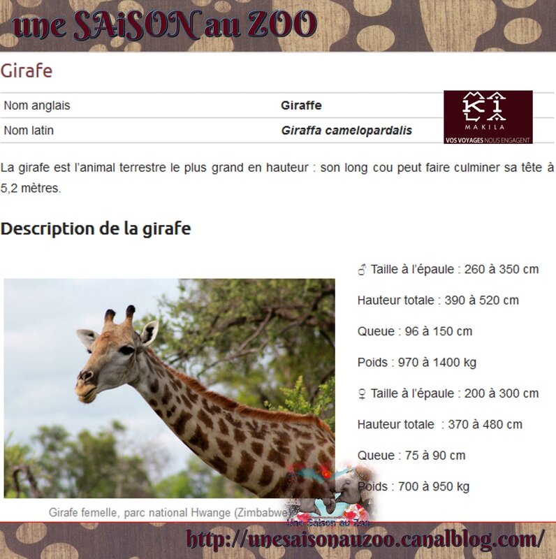 _ 0 SAiSON au ZOO