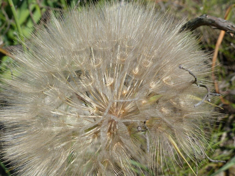 P1240906