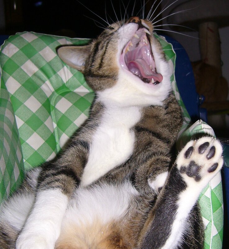 moko fatigué!