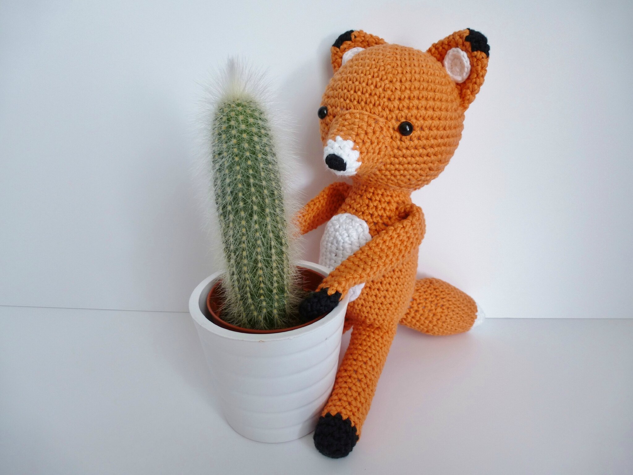 renard6