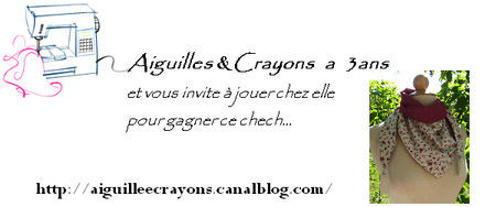 concours_aiguilles_crayons