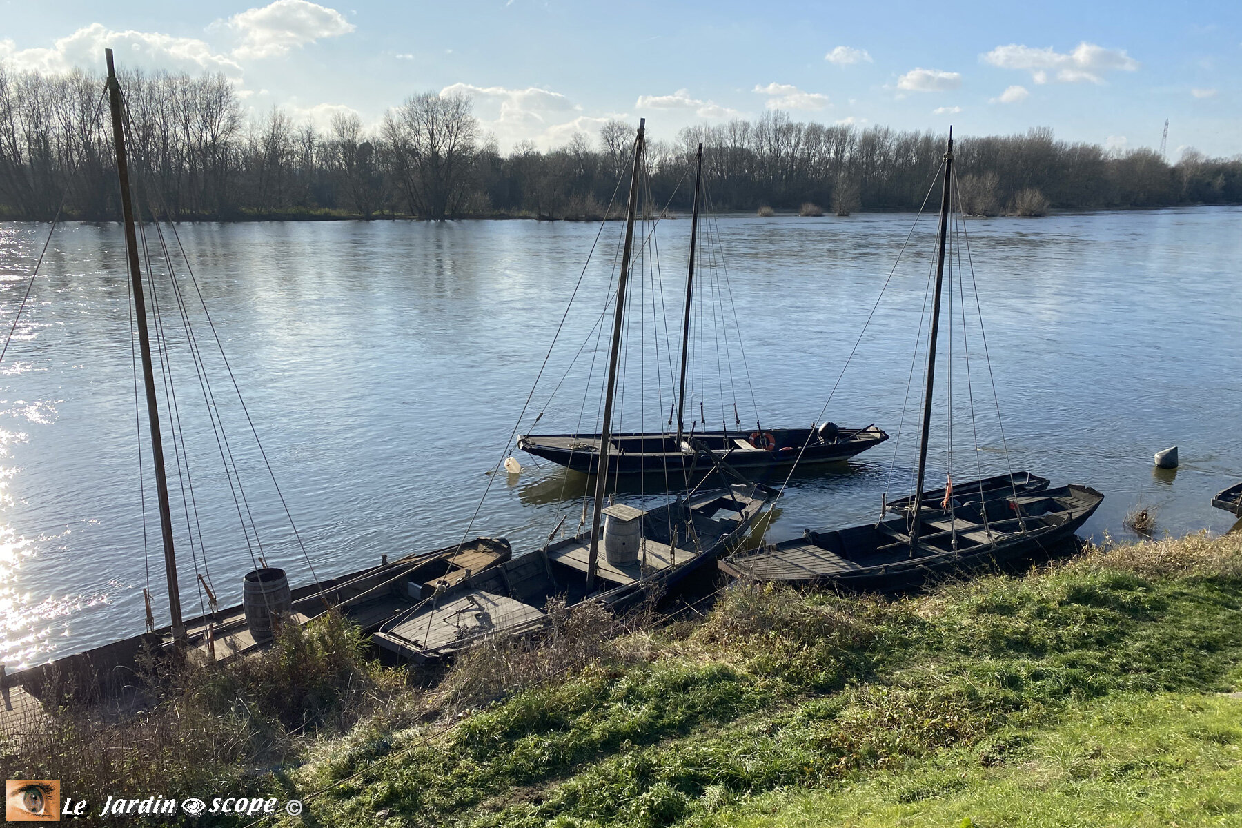 La Loire à Combleux (45) en Janvier 2021
