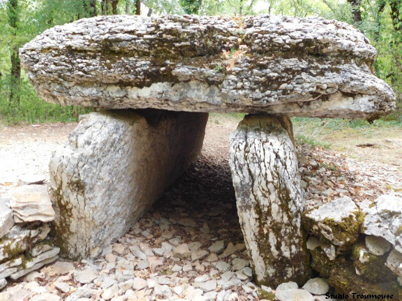 dolmen du bois Galtier près [800x600]