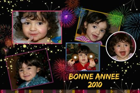 Alice_BonneAnnee2010